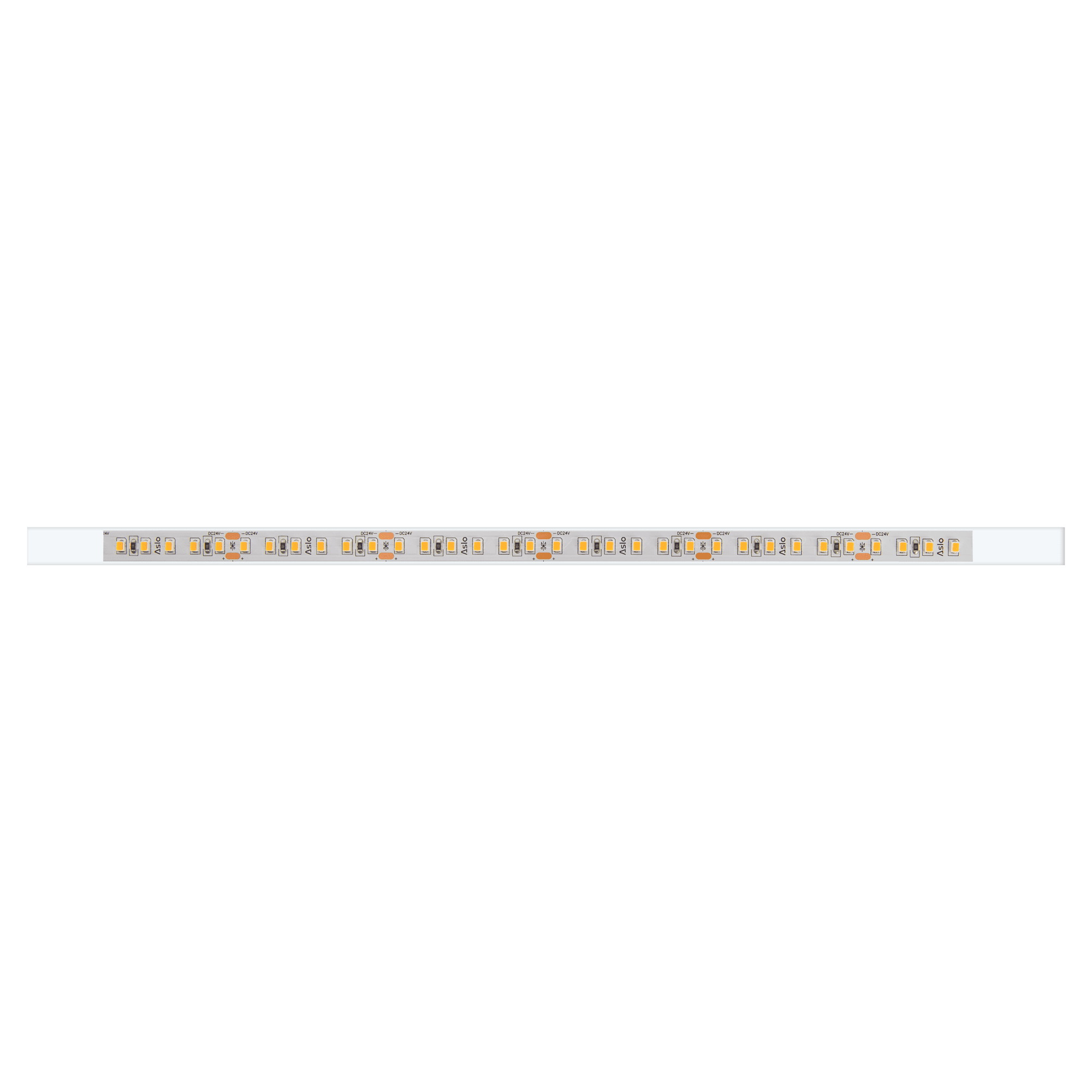 FITA LED 120 SMD 2835 14W/MT 24V IP65 (5M)